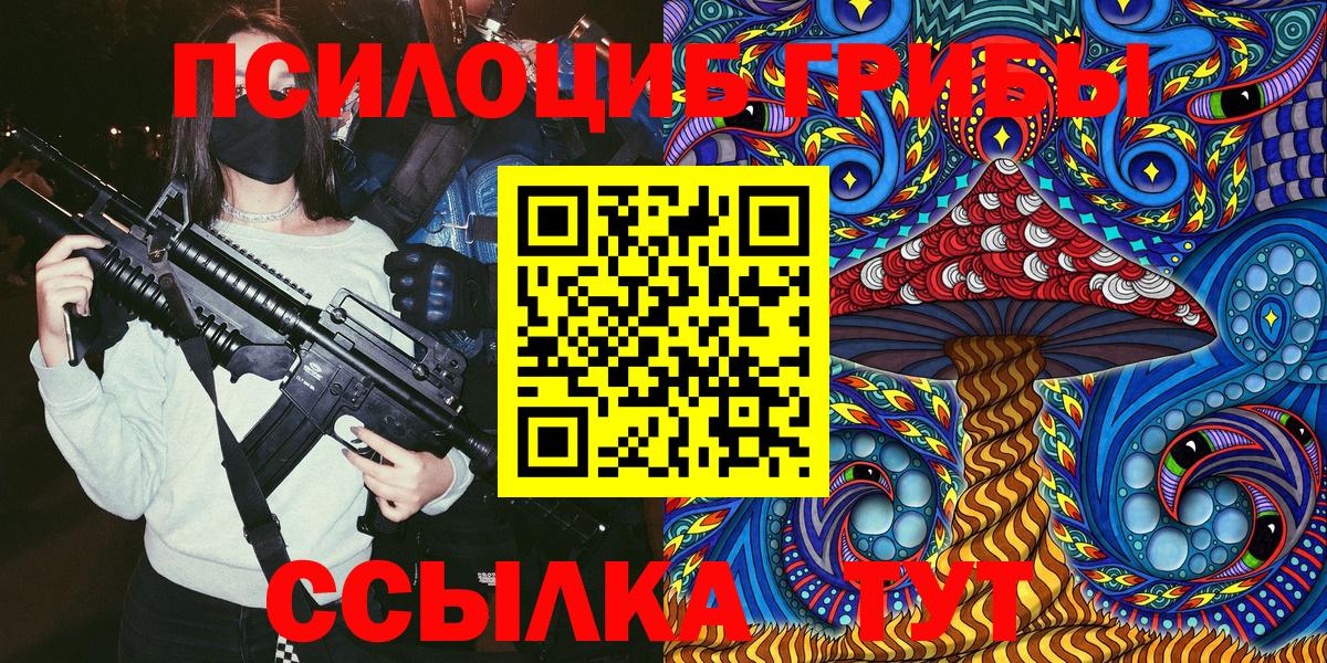 Галлюциногенные грибы Cubensis Горно-Алтайск